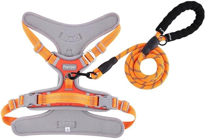 Adjustable Dog Harness - No Pull, Reflective, Soft Padded for Small, Medium, Large Dogs - Includes Leash Orange XL