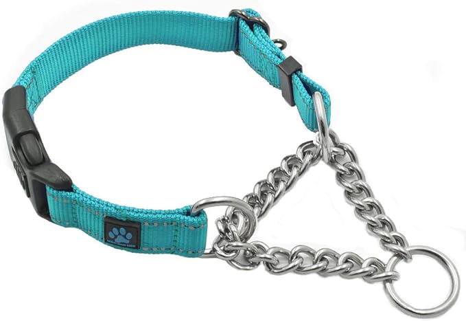 Max and Neo Stainless Steel Chain Martingale Collar - We Donate to a Dog Rescue for Every Collar Sold (Small, Teal)