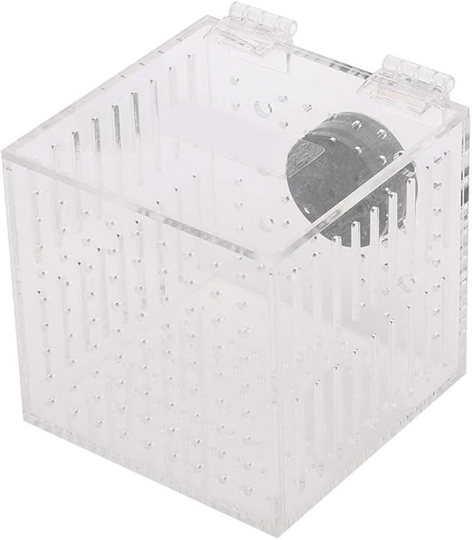 Acrylic Magnetic Aquarium Fish Breeding Isolation Box Hatchery Cage for Baby Fish Incubator Strong Magnetic Design, Easy Maintenance, Maximum Thickness 15Mm