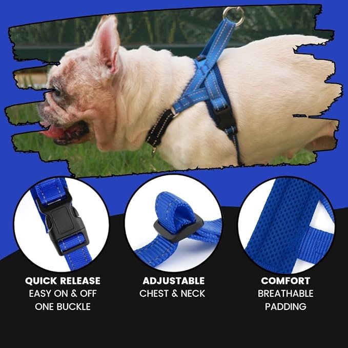 No Pull Dog Harness with Handle, Rear & Front Clip, Adjustable, Easy On/Off, Reflective, Lightweight & Mesh Padded, No Choke. for Giant/Big Large Dogs (Blue-Black,Extra Large)