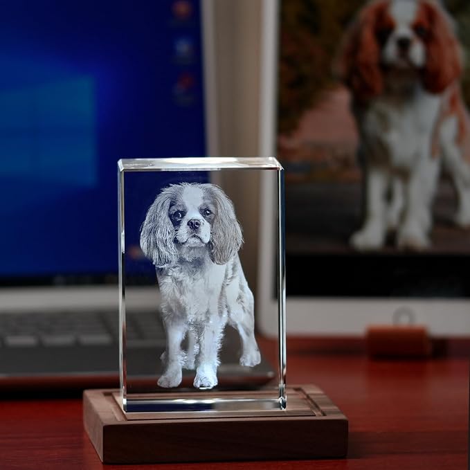 Pet Memorial Gift for Dogs,Cats,3D Crystal Photo,Dog Memorial Gifts for Pet Owners,Personalized Crystal Photo Frame,Customized 3D Engraved Crystal Keepsake