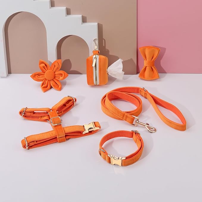 PETDURO Personalized Dog Collars Fancy Velvet with Custom Name Engraved for Large Medium Boy Girl Dog - Multi-Colors - Leash, Bow Tie, Harness and Poop Bag Holder Available - Metal Buckle (XS)