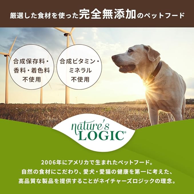 NATURE'S LOGIC Dry Dog Food - 100% Natural - No Synthetics - for All Ages, Sizes, Breeds - Free from Common Allergens, High Protein - Turkey Meal Feast, 4.4lbs