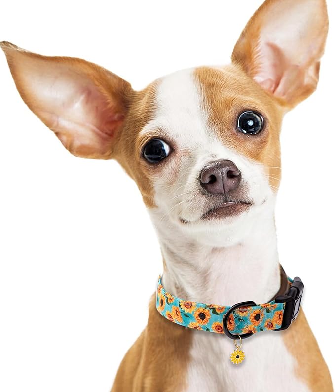 Faygarsle Dog Collar for Small Medium Large Dogs Cute Light Green Puppy Collars for Female Dogs Sunflower Patterned Pet Collars for Summer Spring Wedding Puppy Girl Dog Collar M
