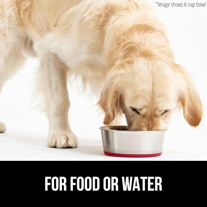 GORILLA GRIP Dog Bowl, Holds 2 Cups (16 fl oz), Heavy Duty Metal Food and Water Bowl for Feeding Dogs and Cats, Easy Clean, Dishwasher Safe, Rust Resistant Stainless Steel, BPA Free Rubber Base, Red