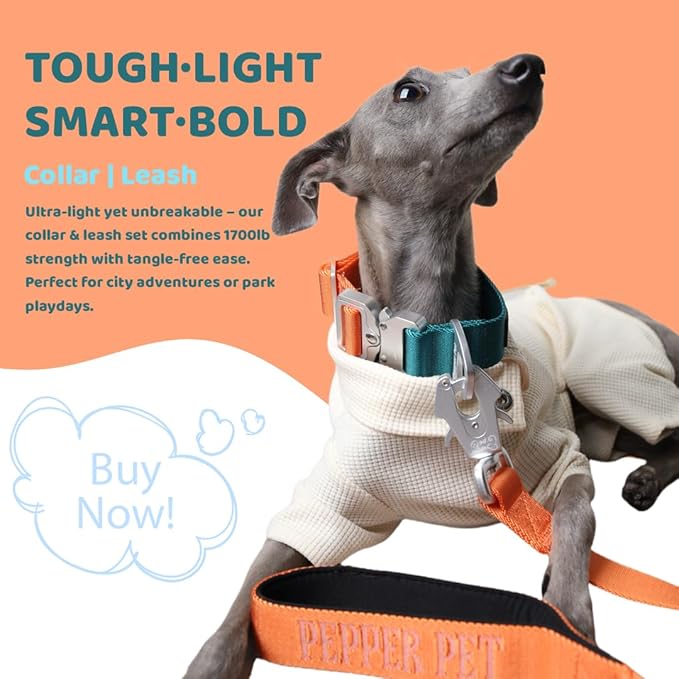 Heavy Duty Tactical Dog Collar,Metal Buckle Quick Release Collar for Large Dogs,1700 LB Strength Tested,Dual Color Nylon Collar for Walking,Training & Hunting