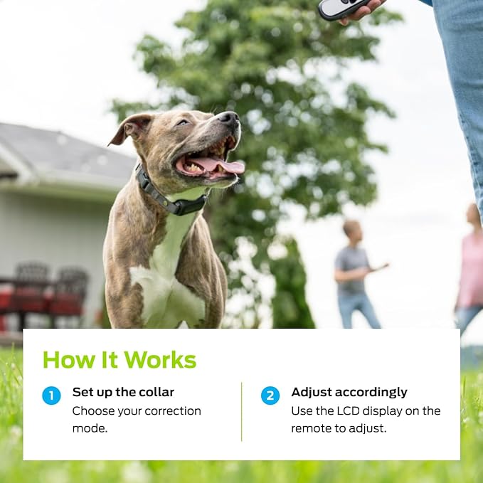 Premier Pet Dog Static Collar - 1000ft Dog Training Collar 2-Dog Bundle with Remote Dogs - Rechargeable Waterproof with 3 Training Modes - Tone Vibration & 16 Levels of Safe Static