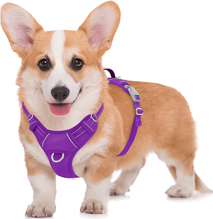 BARKBAY No Pull Dog Harness Large Reflective Dog Harness with Front Clip and Easy Control Handle for Walking Training Running with ID tag Pocket(Purple,M)