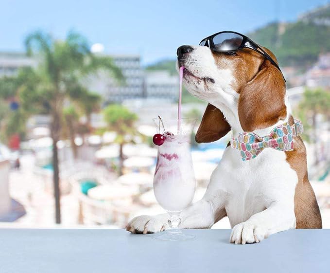 Unique Style Paws Dog Collar with Bow, Bowtie Dog Collar Adjustable Collars for Small Medium Large Dogs and Cats