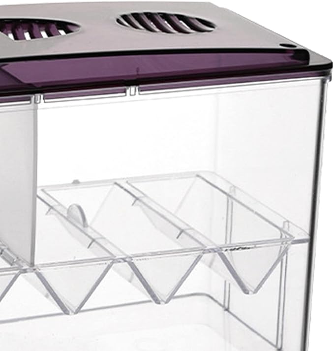 Aquarium Breeding Box Hatchery Newborn Tank Tank