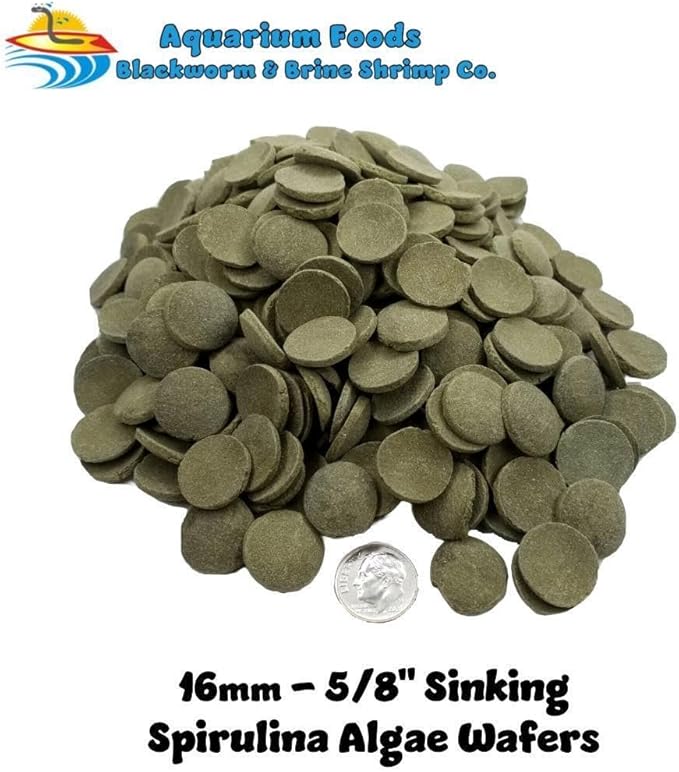 Aquatic Foods Inc. 16mm - 5/8" Medium/Large Sinking Wafers of Algae, Spirulina, Veggies for All Tropical Fish, African Cichlids, Shrimp, Snails, Crabs, Catfish, Plecos..…3-lbs 8.3oz Clear Bag