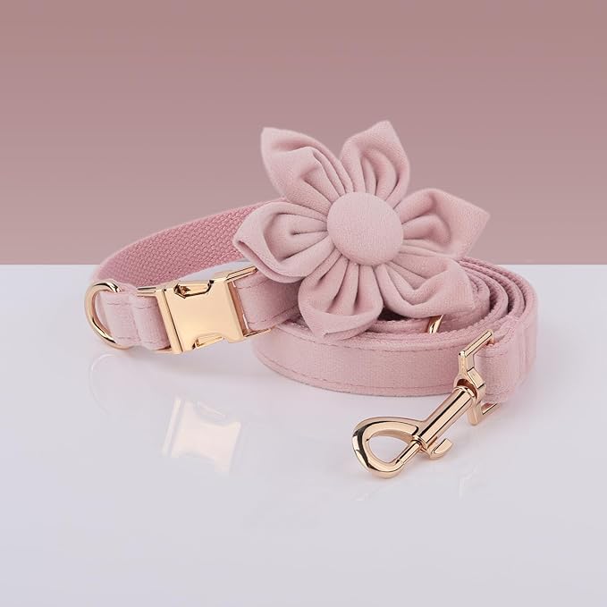 PETDURO Personalized Dog Collars Fancy Velvet for Large Medium Girl Dog - Custom Dog Collar with Name Engraved Metal Buckle - Multi-Color - Leash, Bow Tie, Harness and Poop Bag Holder Optional (XS)