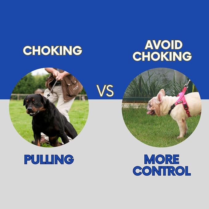 No Pull Dog Harness with Handle, Rear & Front Clip, Adjustable, Easy On/Off, Reflective, Lightweight & Mesh Padded, No Choke. for Small, Medium and Large Dogs (Pink-Black, Small)