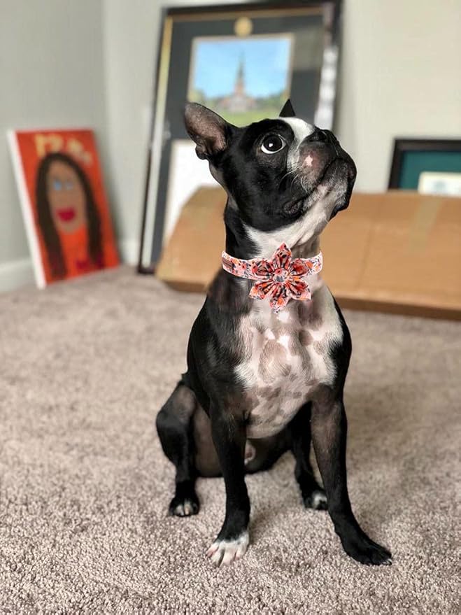 Unique style paws Cotton Dog Collar with Bow Winter Christmas Puppy Collar with White & Red Grid for Small Medium Large Boys Girls Dogs
