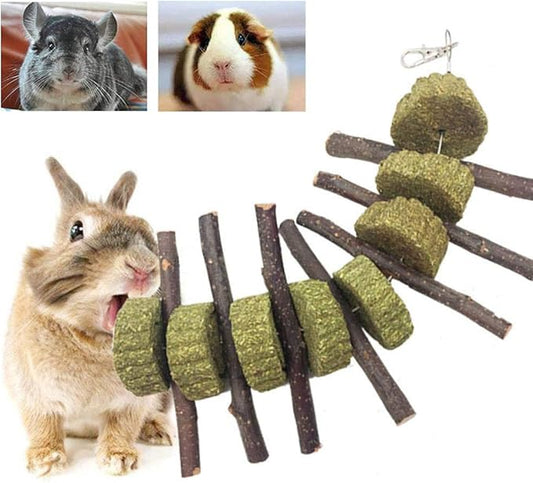 Bunny Chew Toys for Teeth, Organic Apple Wood Molar Sticks with Timothy Hay Circles for Bunny Chinchilla Guinea Pig Hamsters Holland Lop Prairie Dogs Squirrels Gerbils, Improves Dental Health