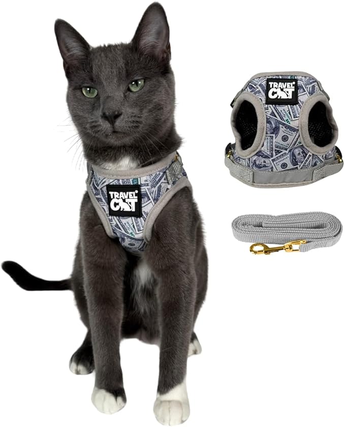 Travel Cat Harness and Leash Set - Adjustable Fit Mesh Cat Harness and Reflective Strap - Comfort Walking Vest for Kitten for Outdoor Walking, Hiking (Extra Small, Cashcat)