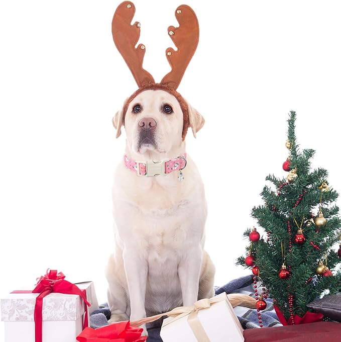 DOGWONG Christmas Snowman Dog Collar- Cute Designer Christmas Blue Dog Collars Adjustable Christmas Deer Dog Collars for Small Medium Large Dogs L
