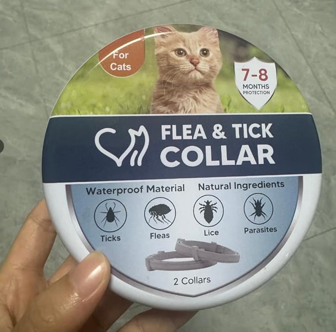 Flea Collar for Cats， Safe to Use - 1P