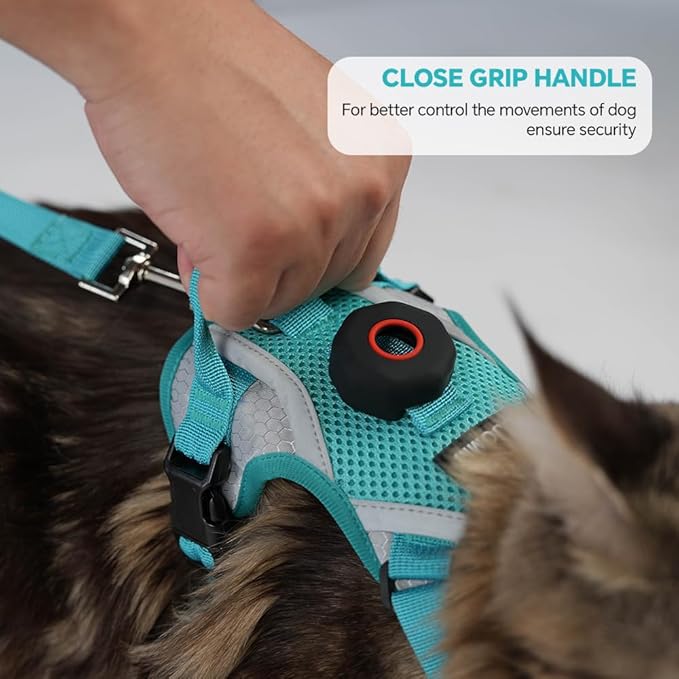 Cat Harness and Leash Set with AirTag Holder: Upgraded Escape Proof Vest with Lead for Small Dog Puppy Large Cat Walking，Soft Breathable Mesh Coat with Reflective Strip (Green, XL)