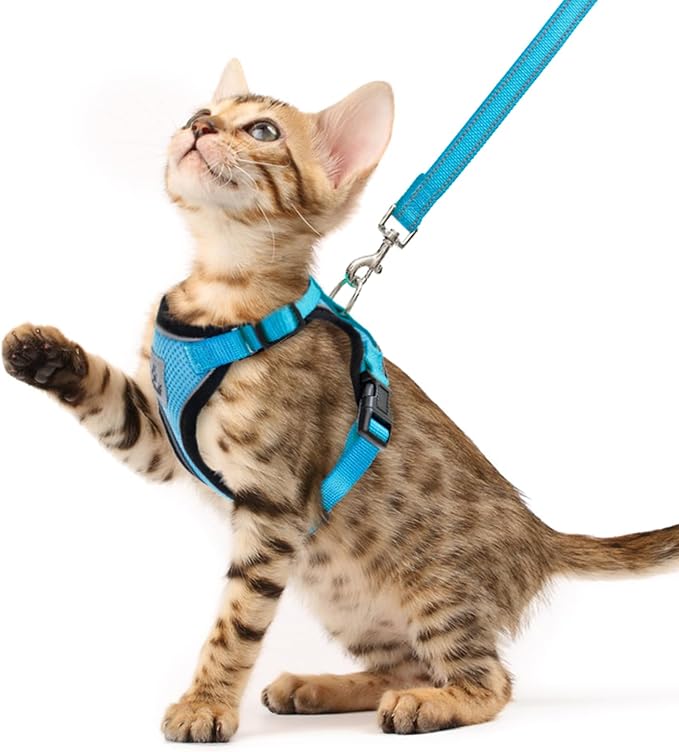 PUPTECK Cat Harness and Leash Set Escape Proof Reflective Cat Walking Harness Adjustable Soft Breathable Mesh Vest for Small Pets, Blue, XS