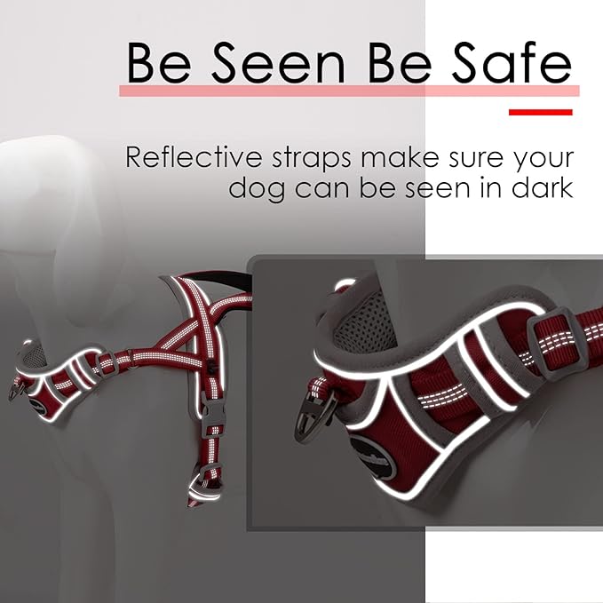 AdventureMore Sport Dog Harness