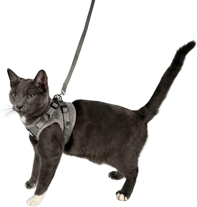 Travel Cat Harness and Leash Set - Adjustable Fit Mesh Cat Harness and Reflective Strap - Comfort Walking Vest for Kitten for Outdoor Walking, Hiking (Extra Small, Grey)