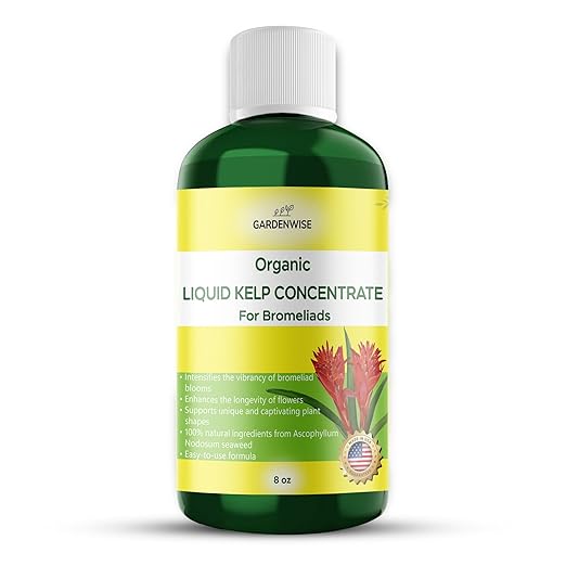 Organic Premium Kelp Seaweed Fertilizer - Bromeliad Fertilizer - Liquid Plant Food, Bromeliad Potting Mix Enhancer - Ideal for Bromeliad Plant & Live Plant Care (8 OZ)