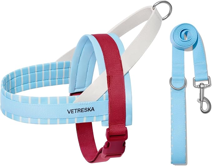 VETRESKA Dog Harness Small Sized Dog, Adjustable No Choke Puppy Harness No Pull, Easy Control Pet Harness Vest for Dogs, Cat, Kitten, Dog Harness with Anti-Tangle Dog Leash Set, Misty Melo XS