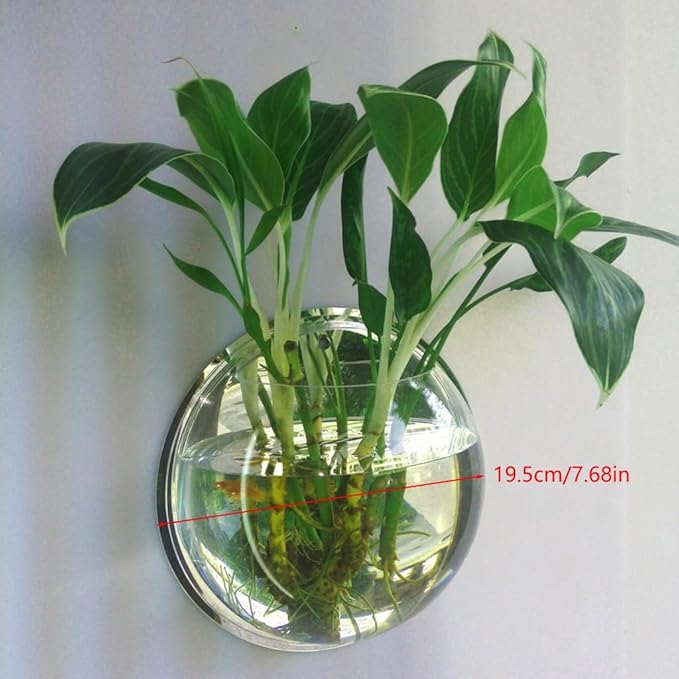Acrylic Wall Mounted Mini Aquarium Fish Tank & Modern Hanging Planter Pot - Space-Saving Home Decor (Mirror)