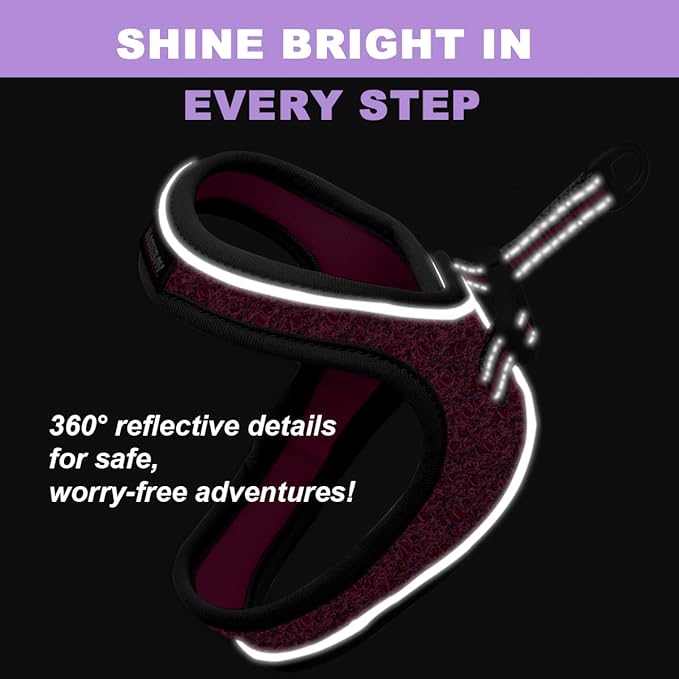 Cat Harness and Leash Set,Escape Proof Kitten Harness,Step in Adjustable Soft Lightweight,Easy Control,Reflective Strips Comfortable for Walking Travel(Pink/Black,XXS)