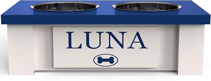GTW Personalized Elevated Dog Bowl Stand for Large, Medium, Small, X-Small Dogs - Stainless Steel Food and Water Bowls - Raised Dog Dish with Internal Storage (X-Small, Blue)