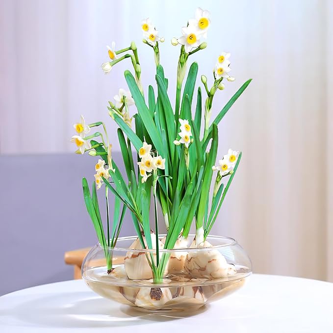 SUPVOX Clear Fish Tank Plastic Vase Bowl Wide Mouth Flower Vase Round Terrarium Plastic Hydroponic Planter Floral Container Clear Fish Bowl for Table Centerpiece Home Decoration 2800ml