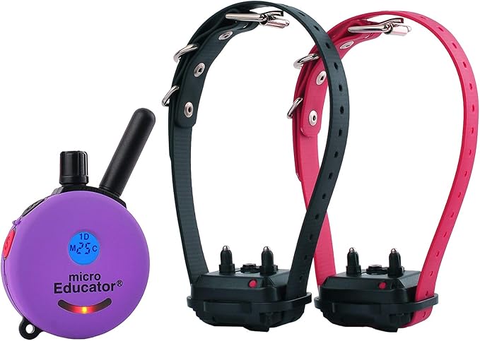 Educator E-Collar Humane Dog Training Collar with Remote, 100 Safe Tapping Stimulation Levels, Night Light, Waterproof, Rechargeable, 1/3 Mile 2 Small Dogs, Purple