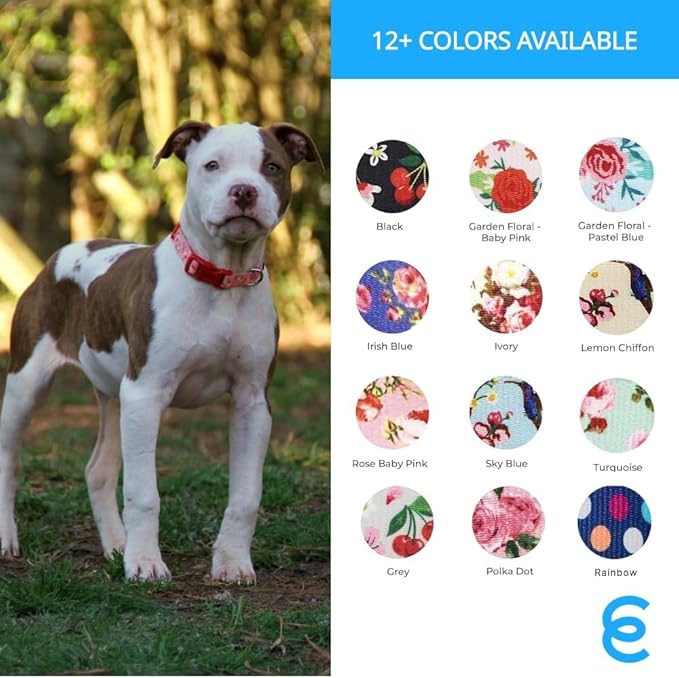 Blueberry Pet Floral Rose Turquoise Dog Collar - Cute Girl Collars for Large Girl Dog Collars, Adjustable & Durable Collar for Dogs, Neck 18-26"