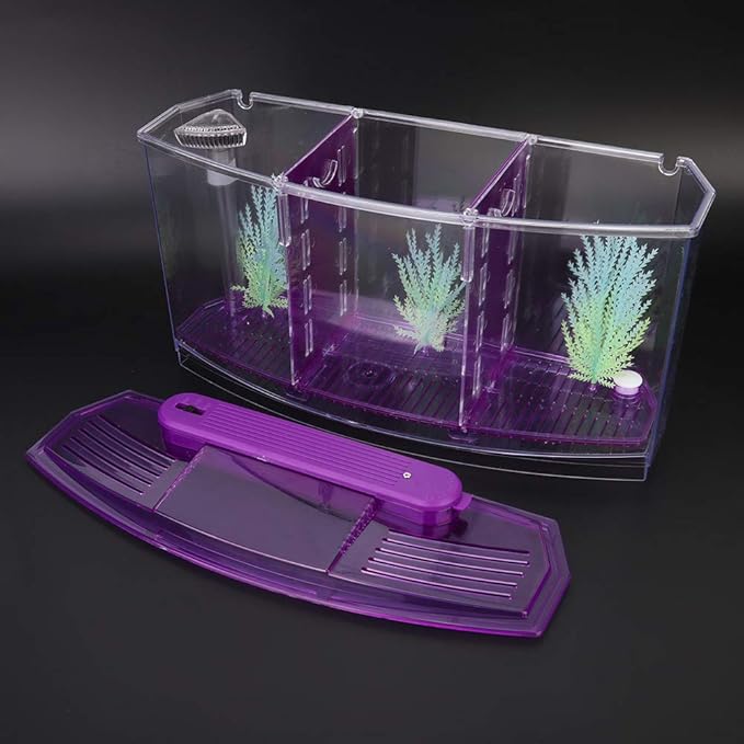 Small Fish Isolation Fish Tank, LED Acrylic Aquarium Fish Tank, Transparent Fish Isolation Box with 2 Isolation Plates for Small Fishes Betta Shrimp Guppy (Lightpurple)