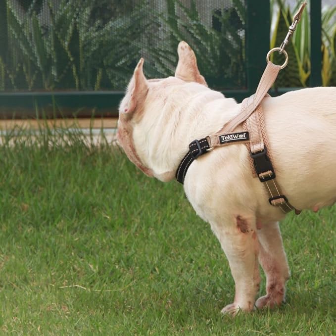 No Pull Dog Harness with Handle, Rear & Front Clip, Adjustable, Easy On/Off, Reflective, Lightweight & Mesh Padded, No Choke. for Small, Medium & Large Dogs (Beige-Black, Medium)