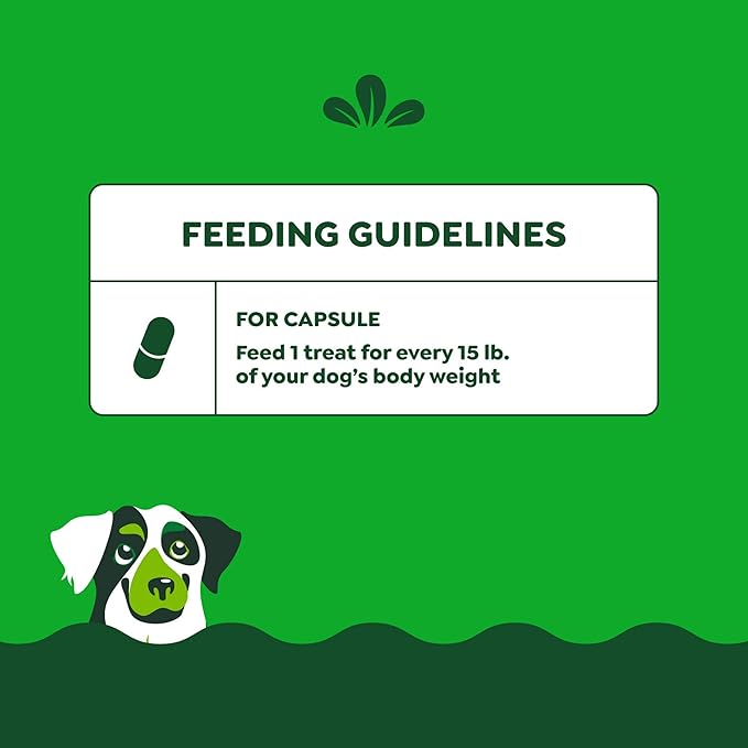 Greenies Pill Pockets for Dogs, Large Size Soft Dog Treats, Cheese Flavor, 7.9 oz. Pouch