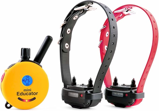 Educator E-Collar Humane Dog Training Collar with Remote, 100 Safe Tapping Stimulation Levels, Night Light, Waterproof, Rechargeable, 1/2 Mile 2 Small-Medium Dogs, Yellow