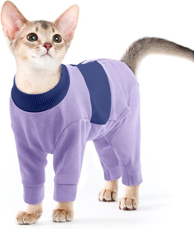 QBLEEV Cat Clothes, Soft Cat Sweaters for Cats Only, Kitten Surgery Recovery Suit Onesie Pajamas, Four Legs Cats Shirts Apparel Clothing for Hair Loss Prevention, Purple, XS