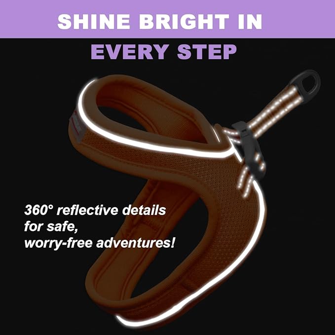 Cat Harness and Leash Set,Escape Proof Kitten Harness,Step in Adjustable Soft Lightweight,Easy Control,Reflective Strips Comfortable for Walking Travel(Orange,XXS)