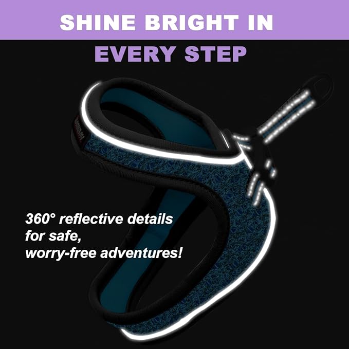 Cat Harness and Leash Set,Escape Proof Kitten Harness,Step in Adjustable Soft Lightweight,Easy Control,Reflective Strips Comfortable for Walking Travel(Blue/Black,XXS)