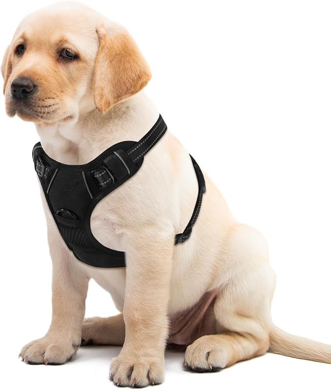 Black Adjustable Reflective No-Pull Dog Harness with 2 Leash Clips，Soft Padded Vest for Small Dog, Easy to Put on and Take Off,Black Small