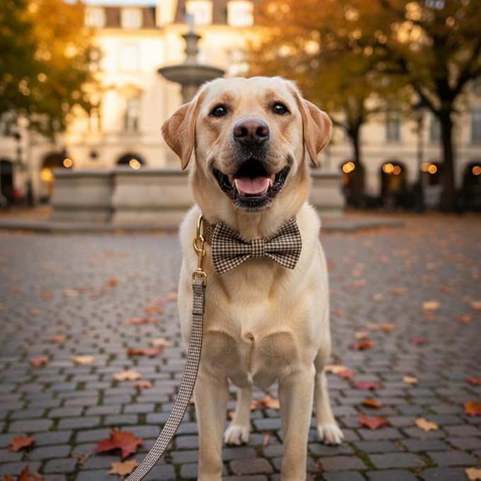 PETDURO Personalized Gingham Plaid Dog Collar Coffee - Engraved Name and Phone Number on Gold Metal Buckle - Custom for Small Medium Large Boy Girl Dogs - Add Leash Bow Tie via Customize Now