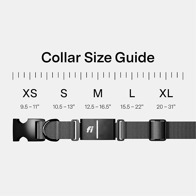 New Fi Series 3+ Smart Dog Tracker Collar [12 Month Membership Included] GPS Tracker for Dogs with Health & Behavior Monitoring, Escape Alerts, Waterproof, LED, Apple Watch Compatible (Gray, Medium)