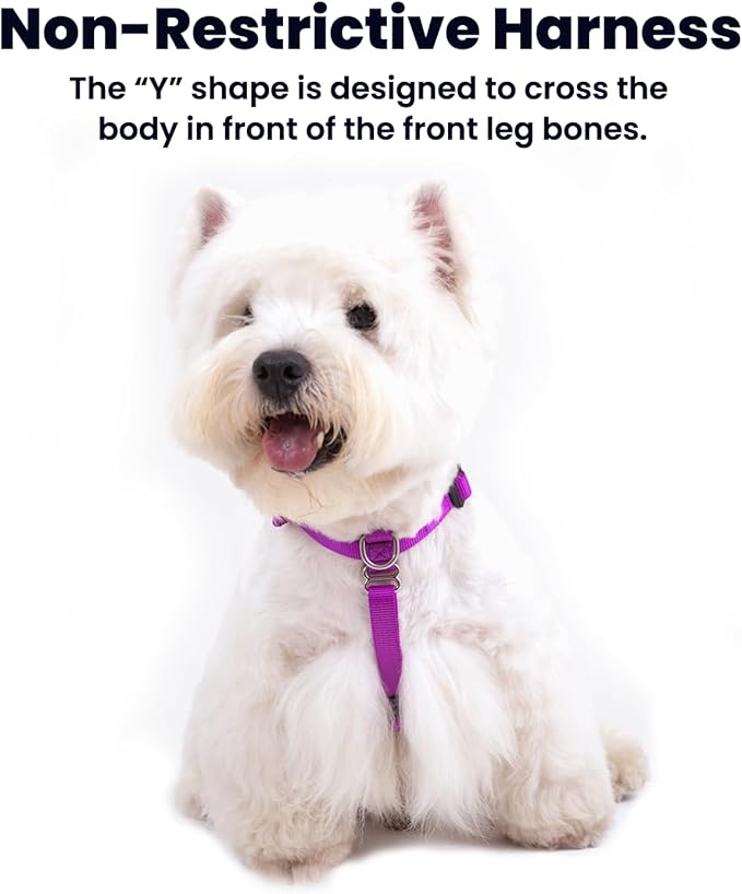 Non Restrictive Large Dog Harness, Easy Walk Freedom No Pull Harness, Keep Balance, Lightweight, Neck Buckle,Back and Front Lesh Clips, Sewn-in Instructions Labels for Easy Use, Purple
