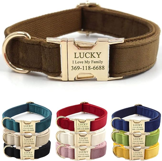 PETDURO Custom Dog Collar Personalized with Name Engraved Quick Release Gold Metal Buckle for Large Medium Small Girl Dogs - Dog Leash and Bow Tie Available - Soft Comfy Velvet (Brown G, M)