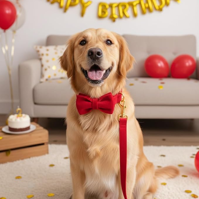 PETDURO Personalized Dog Collar Red Soft Velvet for Large Medium Small Boy Girl Dogs - Custom Collar with Name Phone Engraved on Bright Gold Metal Buckle - Add Matching Leash Bow Set via Customize Now