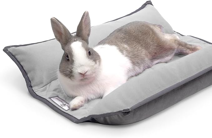 Paw Inspired Snuggle Bunny Bolster Bed for Rabbits, Cats, Dogs, Small Pets, 17x17-Inch Reversible Fleece Flop Bedding with Padded Sides (Gray/Light Gray)
