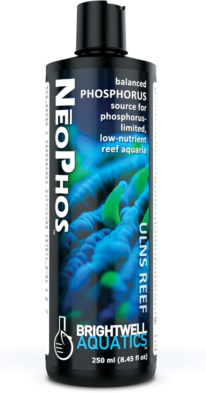 Brightwell Aquatics - NeoPhos - Balanced Phosphorus Source for Phosphorus-Limited, Low-Nutrient Reef Aquaria - Aquarium Water Treatments, 8.5 fl oz
