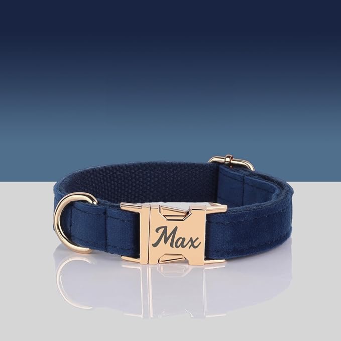 Velvet Harness Set, Gift for Pet Owners, Custom Dog Collar Personalized Name and Phone Number, Custom Collar Leash for Dogs, Engraved Metal Buckle Collar (Small)